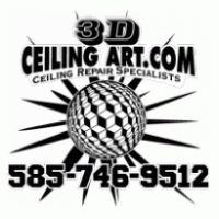 3D Ceiling Art Logo Vector