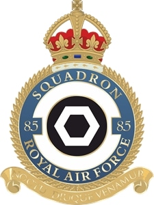 85 RAF Squadron Logo PNG Vector