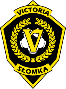 AKS Victoria Slomka Logo PNG Vector