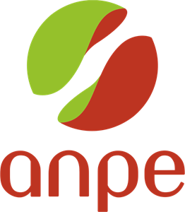 ANPE Logo PNG Vector