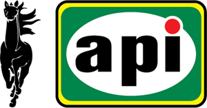 API Logo Vector