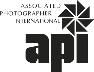 API Logo Vector
