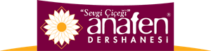 Anafen Logo Vector