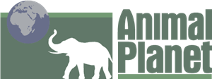 Animal Planet Logo PNG Vector