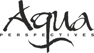 Aqua Perspectives Logo Vector