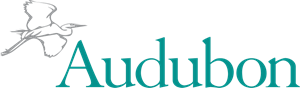 Audubon Logo PNG Vector