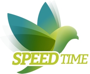 a green bird Logo Vector