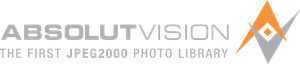 Absolut Vision Logo PNG Vector