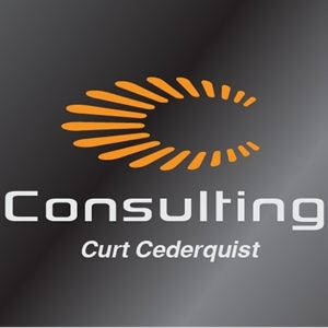 Abstract Stripy Curve Consultant Logo PNG Vector