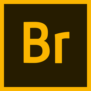 Adobe Bridge Cc Logo Vector Eps Free Download