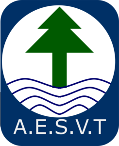 AESVT Logo PNG Vector