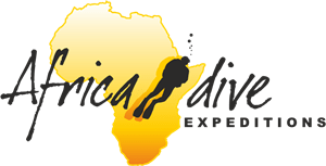 Africa Dive Logo PNG Vector