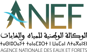 AGENCE NATIONALE DES EAUX ET FORETS Logo PNG Vector