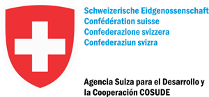 Agencia Suiza para el Desarrollo Logo Vector