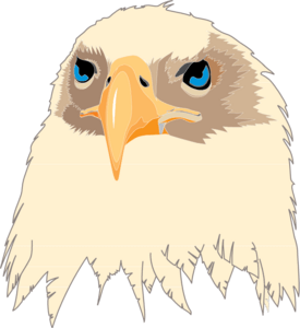 Aguia Eagle Logo PNG Vector