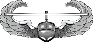 Army Air Assault Badge Vector