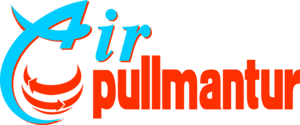 Air Pullmantur Logo PNG Vector