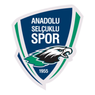 Anadolu Selcukluspor Logo PNG Vector