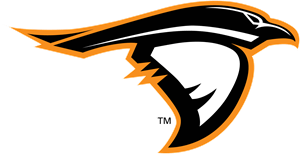 Anderson Ravens Logo Vector