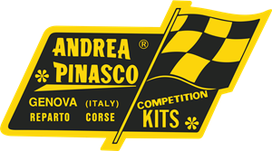 Andrea Pinasco Logo Vector