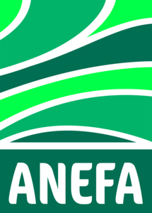 Anefa Logo PNG Vector