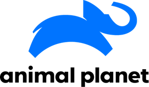 Animal Planet (2019) Logo PNG Vector