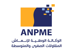 ANPME - Maroc Logo Vector