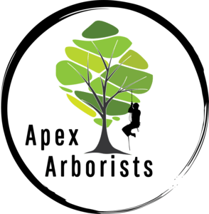 Apex Arborists Logo PNG Vector