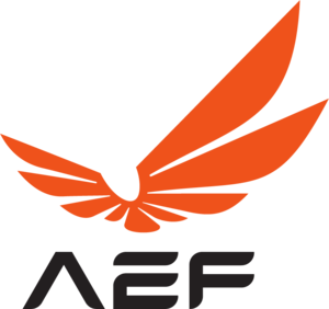 Armenian Esports Federation Logo PNG Vector