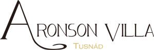 Aronson Villa Logo PNG Vector