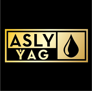 Asly yag gold Logo PNG Vector