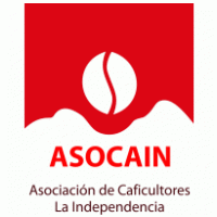 ASOCAIN Logo PNG Vector