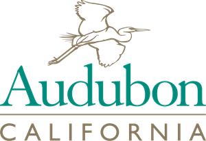 Audubon California Logo PNG Vector