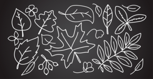 Autumn Linear Leaves Logo PNG Vector