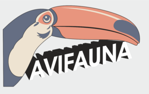 Avifauna Logo PNG Vector