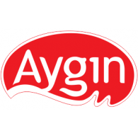 Aygın Logo PNG Vector