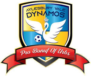 Aylesbury Vale Dynamos Logo PNG Vector