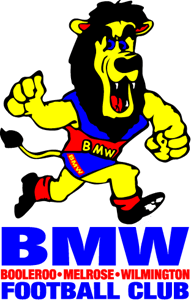 BMW Football Club Logo Vector