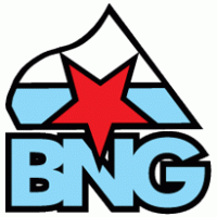 BNG Logo PNG Vector
