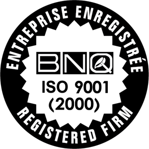 BNQ ISO 9001 Logo PNG Vector