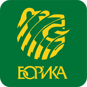 BORIKA Logo Vector (.AI) Free Download