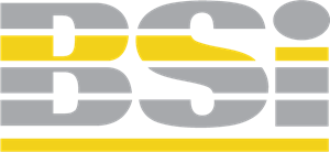BSi Logo PNG Vector
