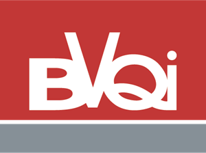 BVQI Logo PNG Vector