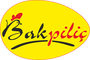 BakPilic Logo PNG Vector