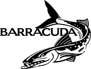 Barracuda Logo PNG Vector