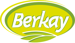 Berkay Logo PNG Vector