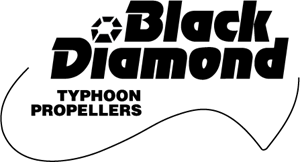 Black Diamond Logo Vector