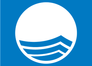 Blue Flag Logo PNG Vector