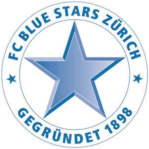 Blue Stars Logo Vector