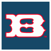 Boise Hawks Logo Vector